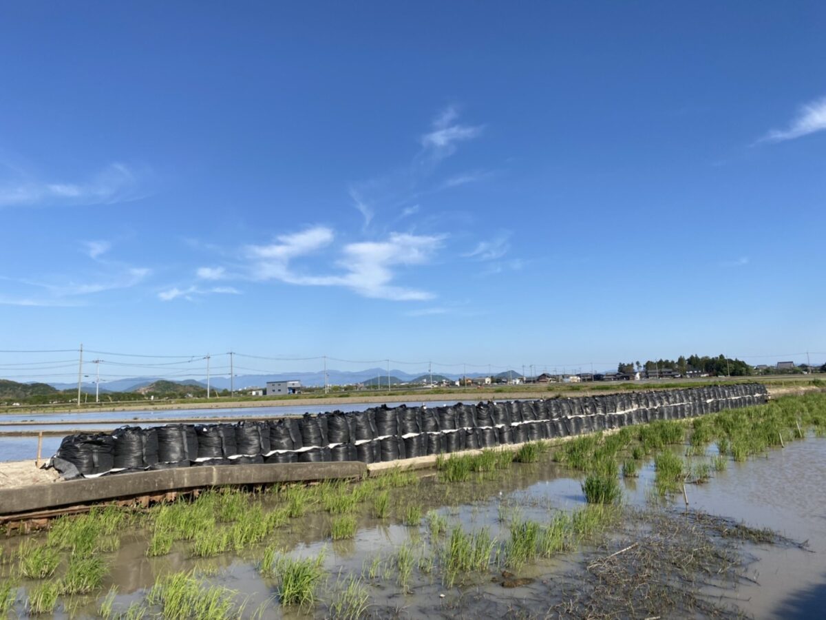 水路の応急工事