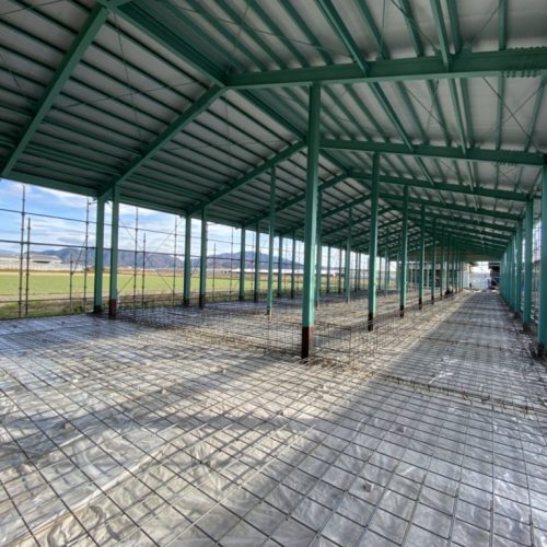 201912樋廻様牛舎-1024x768