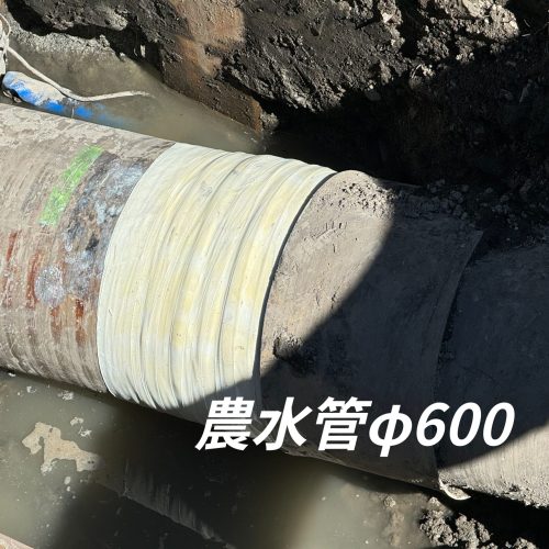 IMG_7334-fotor-202409131216