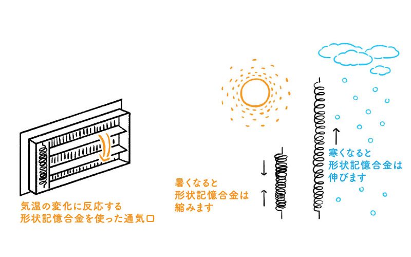 build02