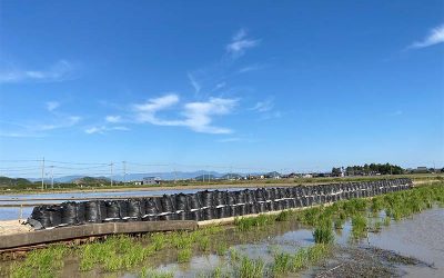 東部承水溝法面応急工事